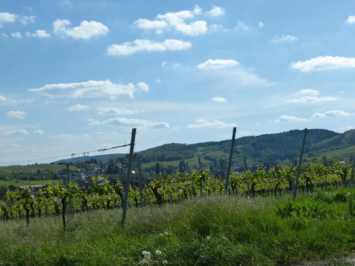 Gaestehaus Annel Niederhorbach Zewnętrze zdjęcie