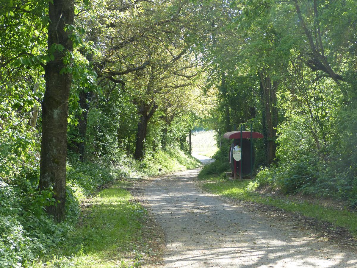 Gaestehaus Annel Niederhorbach Zewnętrze zdjęcie