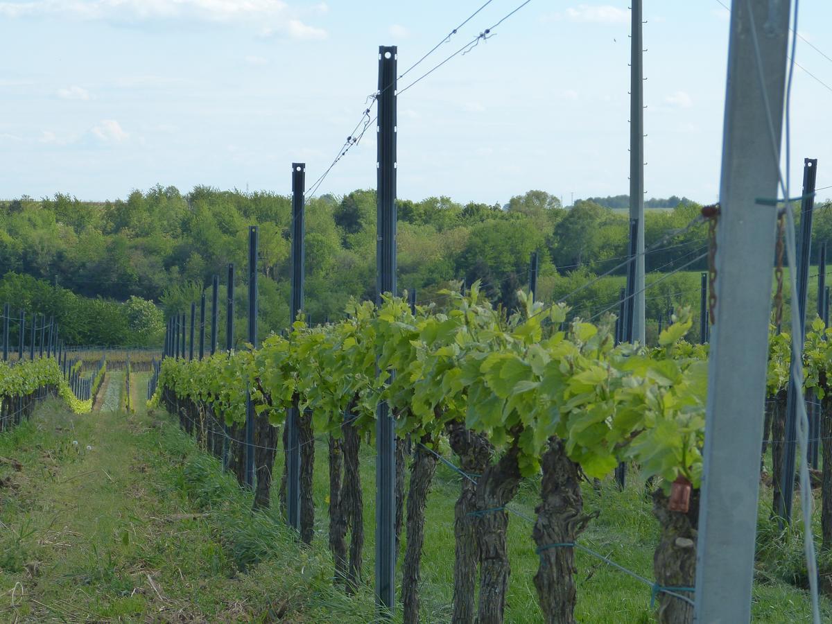 Gaestehaus Annel Niederhorbach Zewnętrze zdjęcie